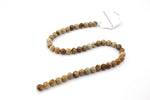 Picture Jasper Round, 16 inches strand