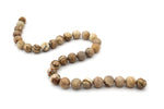 Picture Jasper Round, 16 inches strand