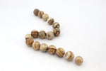 Picture Jasper Round, 16 inches strand