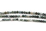 Tree Agate Round Smooth Beads, 16 inches Strand