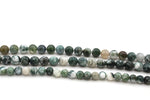 Tree Agate Round Smooth Beads, 16 inches Strand