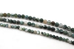 Tree Agate Round Smooth Beads, 16 inches Strand