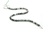 Tree Agate Round Smooth Beads, 16 inches Strand
