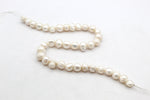 Fresh Water White Pearl Potato 11 - 12 mm