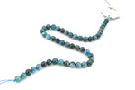 Apatite Round, 16 inches Strand