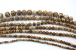 Picture Jasper Round, 16 inches strand