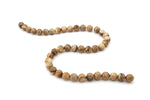 Picture Jasper Round, 16 inches strand