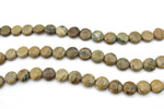 Green Lime Jasper Coin 16 x 30 mm Gemstone Beads