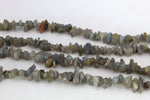 Labradorite Chips Gemstone Beads