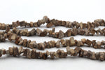 Picture Jasper Chips Gemstone Beads