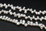 Fresh Water White Pearl Peanut Model