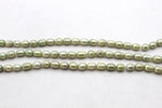 Fresh Water Light Green Pearl Rice