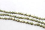 Fresh Water Light Green Pearl Rice