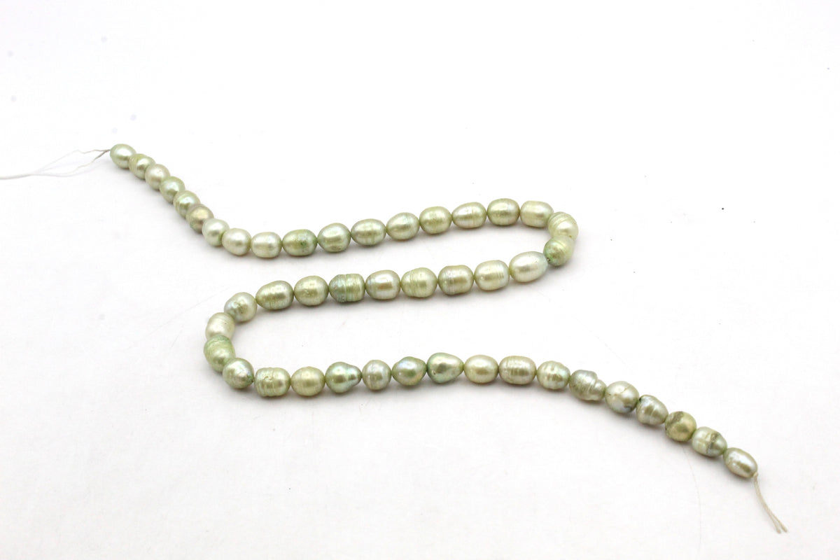 Fresh Water Light Green Pearl Rice