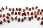Carnelian Irreguler Side Hole Gemstone Beads 16" Strand
