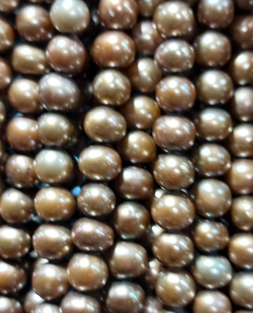 Freshwater Pearls brown and copper 6x5mm