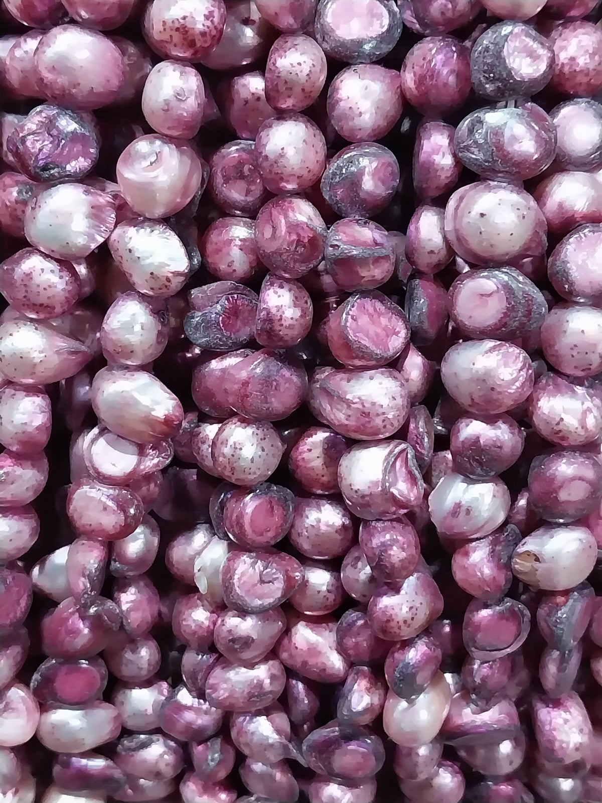 Freshwater Pearls garnet