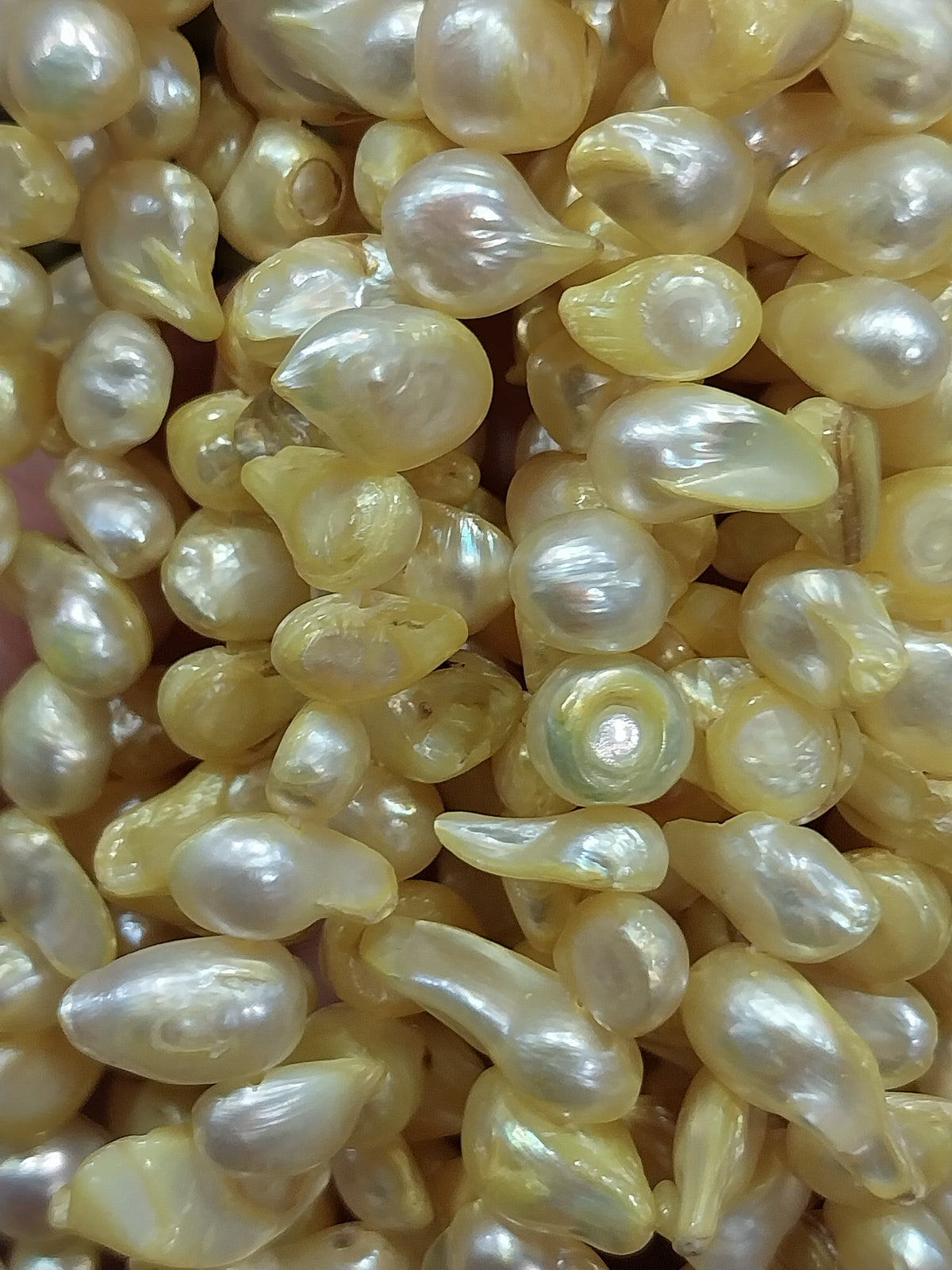 Freshwater Pearls yellow