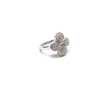 Ring31_3
