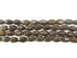 Bronzite