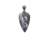 Pendant50