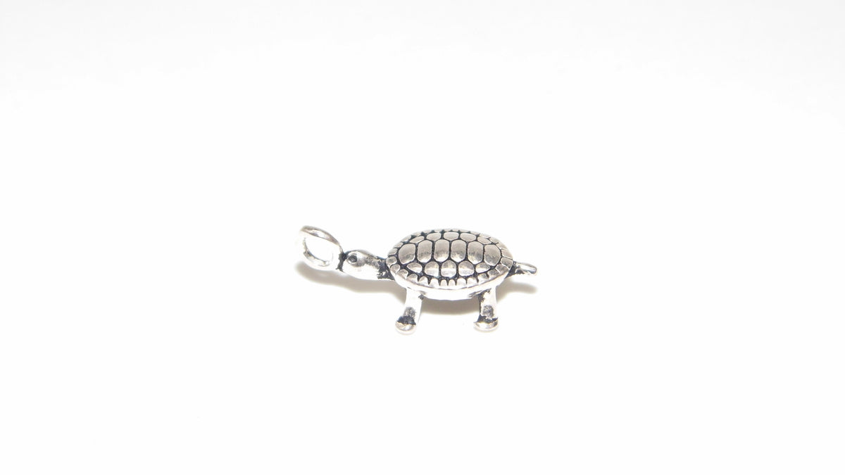 S/S TURTLE CHARM